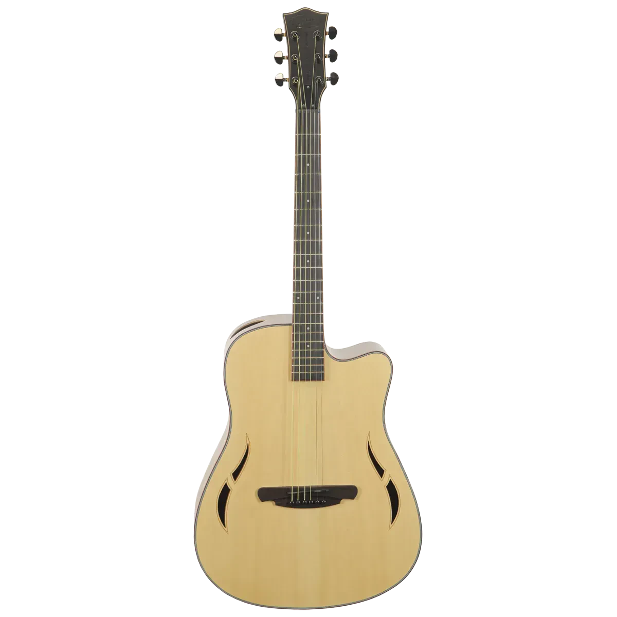 Акустическая гитара SQOE SQ-F Set