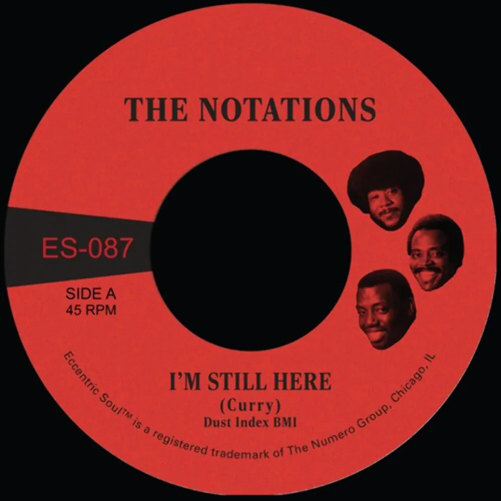 Виниловая пластинка Notations – I'm Still Here b/w What More Can I Say Релиз 2025