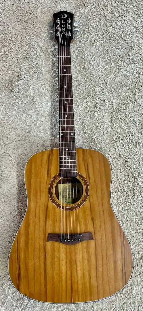 Luna Dreadnought Full Size Acoustic Solid Top Guitar - Prototype - IW-2 40JTNA