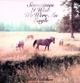 Виниловая пластинка Bill Callahan – Sometimes I Wish We Were An Eagle Sealed