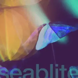 Виниловая пластинка Seablite – Breadcrumbs 7" (Релиз 2022)