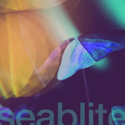 Виниловая пластинка Seablite – Breadcrumbs 7" (Релиз 2022)