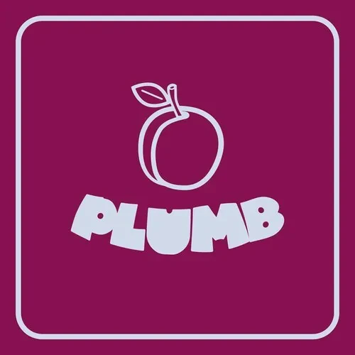 Виниловая пластинка Ray Angry - Plumb [New Vinyl LP] Boxed Set