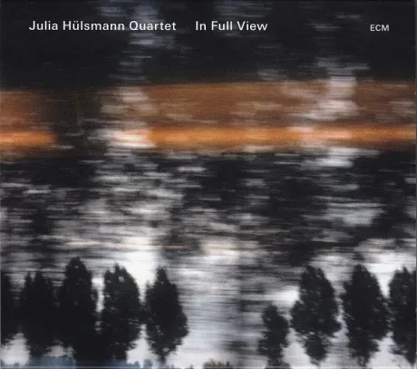 JULIA HULSMANN - In Full View (CD)