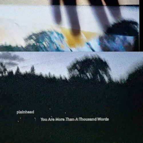 Виниловая пластинка Plainhead - You Are More Than A Thousand Words [New Vinyl LP]