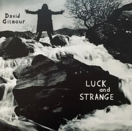 Виниловая пластинка David Gilmour – Luck And Strange