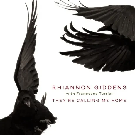 Виниловая пластинка Rhiannon Giddens – They’re Calling Me Home