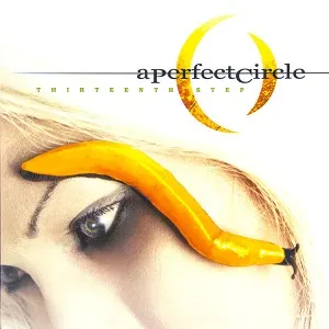 Виниловая пластинка A Perfect Circle – Thirteenth Step 2LP