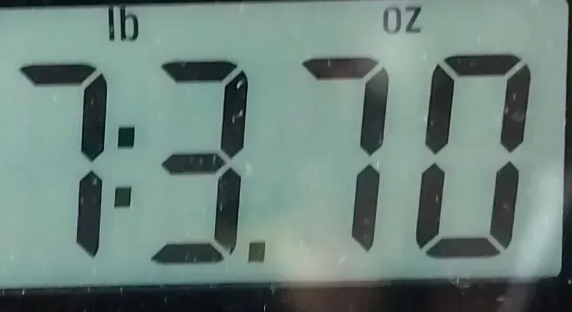 Изображение №9