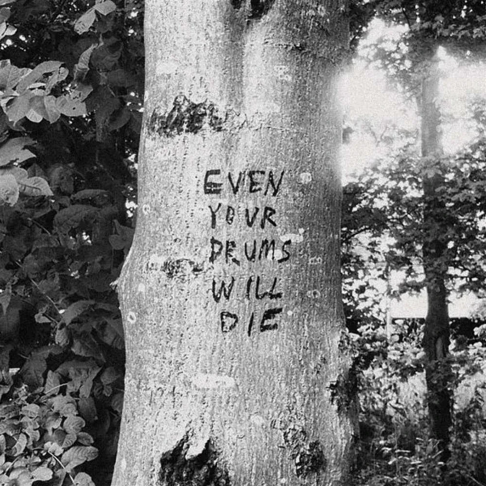 Richard Swift - Even Your Drums Will Die: Live at Pendarvis Farm 2011 NEW Vinyl