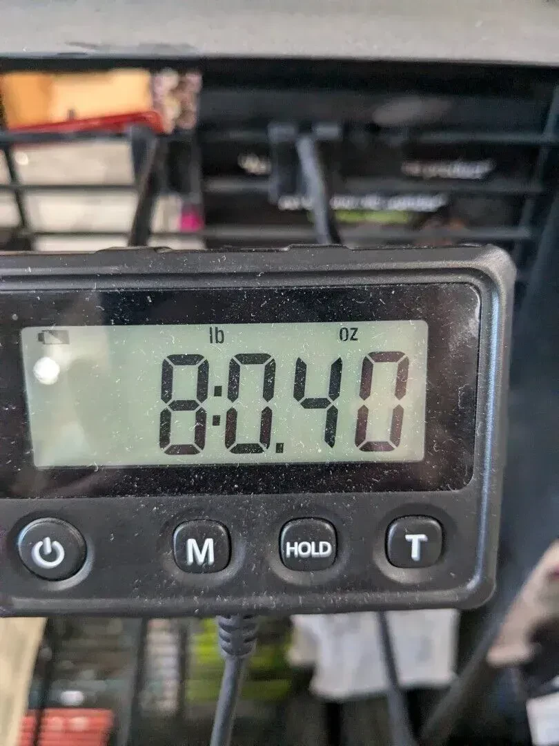 Изображение №7