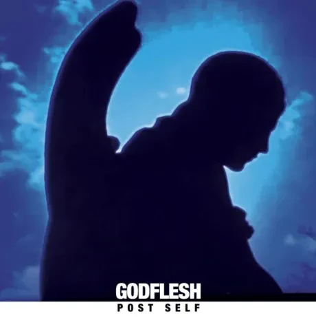 Виниловая пластинка GODFLESH – Post Self Coloured