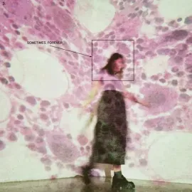 Виниловая пластинка Soccer Mommy – Sometimes, Forever (Релиз 2022)