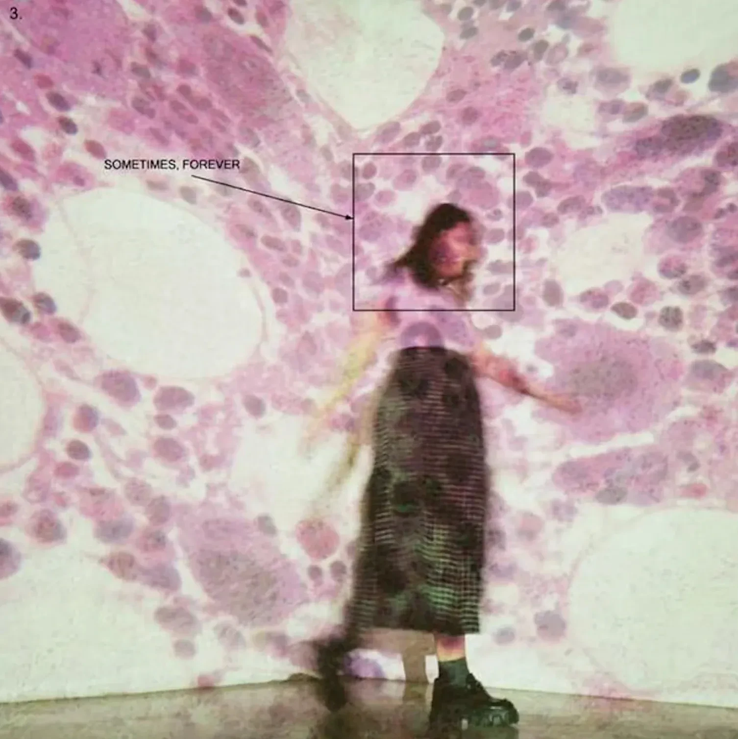 Виниловая пластинка Soccer Mommy – Sometimes, Forever (Релиз 2022)