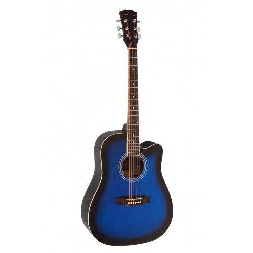 Акустическая гитара Elitaro E4120 BLS