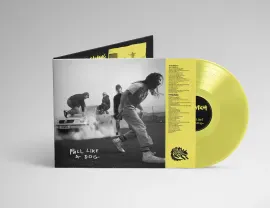 Виниловая пластинка The Scratch – Pull Like A Dog (Релиз 2026)
