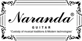 Акустическая гитара Naranda DG120BK Скол на деке