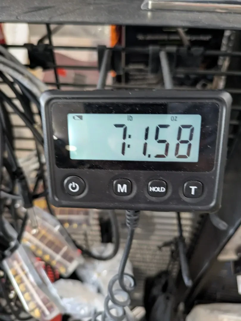 Изображение №9