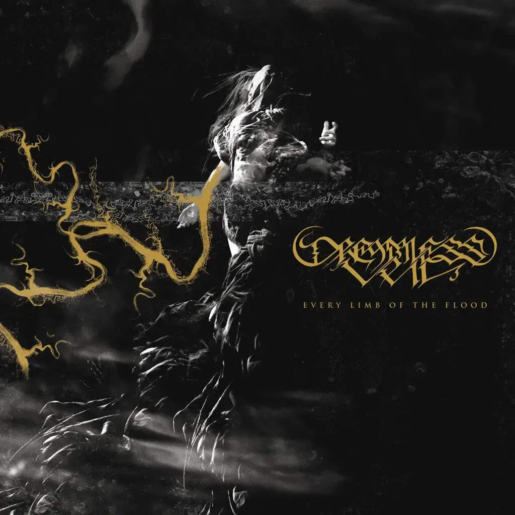 Виниловая пластинка Dreamless Veil – Every Limb of the Flood 2024