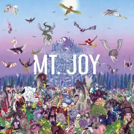 Виниловая пластинка Mt. Joy – Rearrange Us Sealed