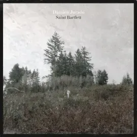 Виниловая пластинка Damien Jurado - Saint Bartlett [New Vinyl LP]
