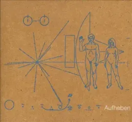 Виниловая пластинка The Brian Jonestown Massacre – Aufheben (2LP)