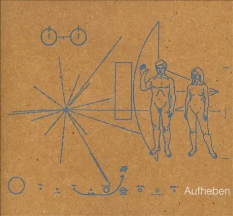 Виниловая пластинка The Brian Jonestown Massacre – Aufheben (2LP)