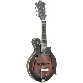Электроакустическая гитара Gold Tone F6 F-Style винтажный санберст с кейсом