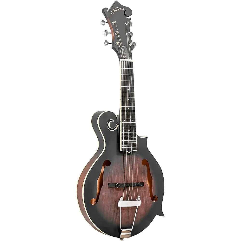 Электроакустическая гитара Gold Tone F6 F-Style винтажный санберст с кейсом