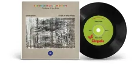 Виниловая пластинка David Gray – The Endless Coloured Ways: The Songs of Nick Drake (Релиз 2023)