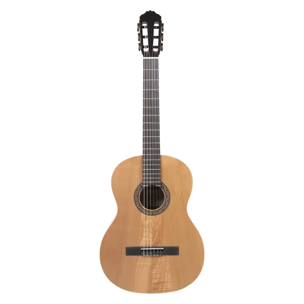 Meridaextrema PC33C-NT