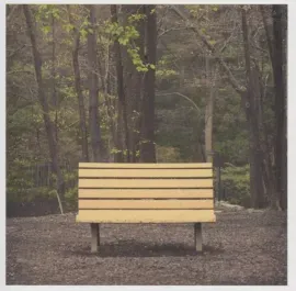 Виниловая пластинка Streetlight Manifesto – The Hands That Thieve (Релиз 2013)