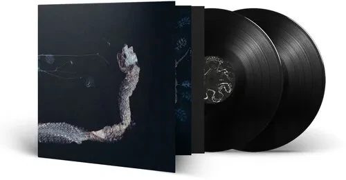 Виниловая пластинка Tenhi - Maaaet [New Vinyl LP] Bonus Tracks, Gatefold LP Jacket, 140 Gram Vinyl