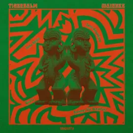 Виниловая пластинка Tigerbalm - Waiheke [New 12" Vinyl] Extended Play