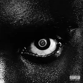Виниловая пластинка Damso - Lithopedion [New Vinyl LP] Canada - Import
