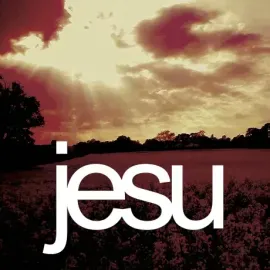 Виниловая пластинка Jesu – Heart Ache