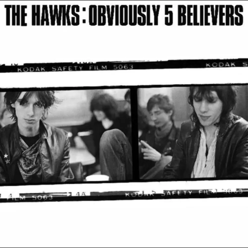 Виниловая пластинка The Hawks – Obviously 5 Believe (Релиз 2021) Sealed