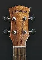 Укулеле сопрано long neck Pukanala PU-MSL цельнокорпусная из сапеле