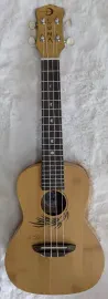 Luna Guitars Luna Uke Bamboo Series Concert Size Acoustic Ukulele with Gig Bag