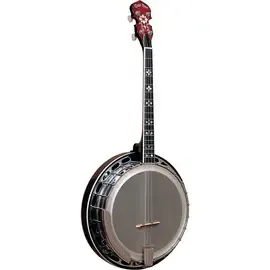 Банджо Gold Tone Mastertone IT-250F/L Left-Handed Irish Tenor Banjo w/Flange Vin Brown