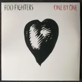 Виниловая пластинка Foo Fighters – One By One