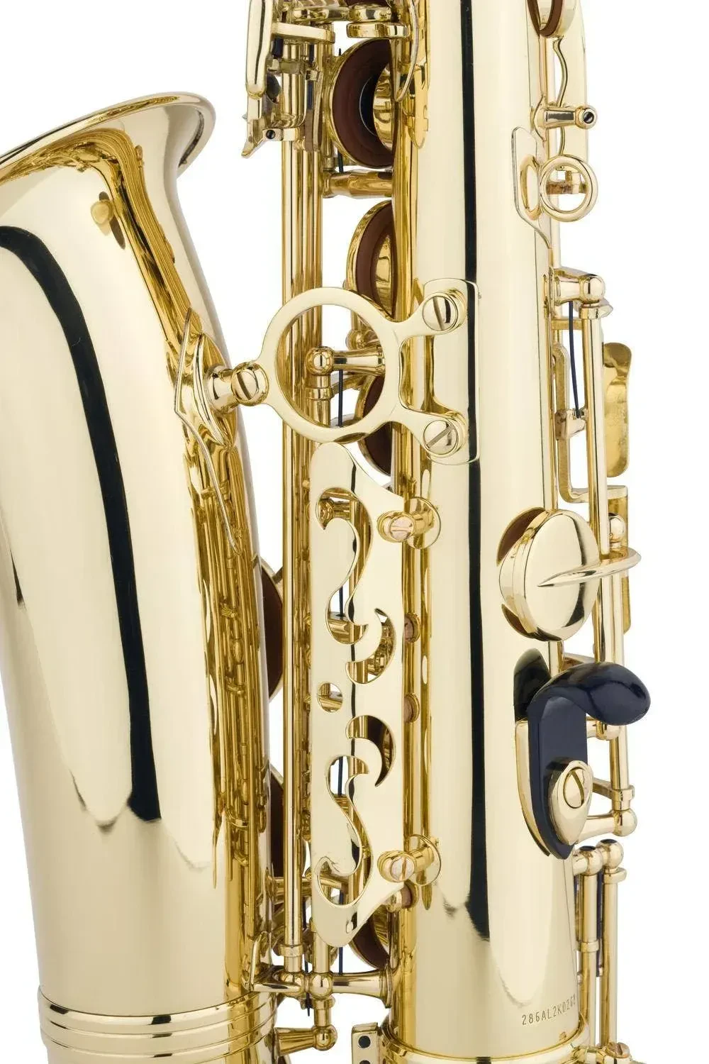 Изображение №2