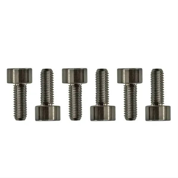 Genuine Floyd Rose FROSMSTIP Titanium Saddle Mounting Screws, Set of 6