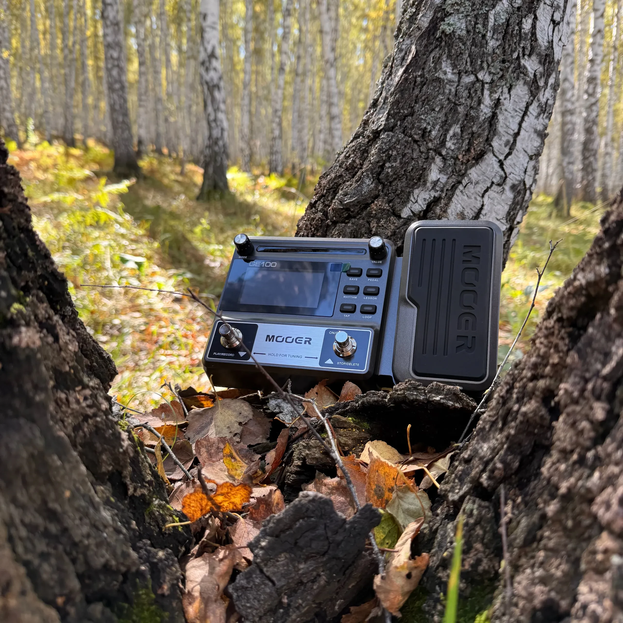 Изображение №4