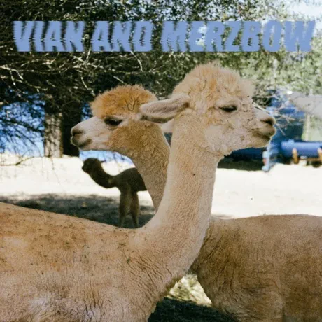 Виниловая пластинка Pedro Vian / Merzbow – Inside Richard Serra Sculptures