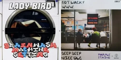 Виниловая пластинка Lady Bird - Brainwash Machine Settings [New 12" Vinyl] UK - Import