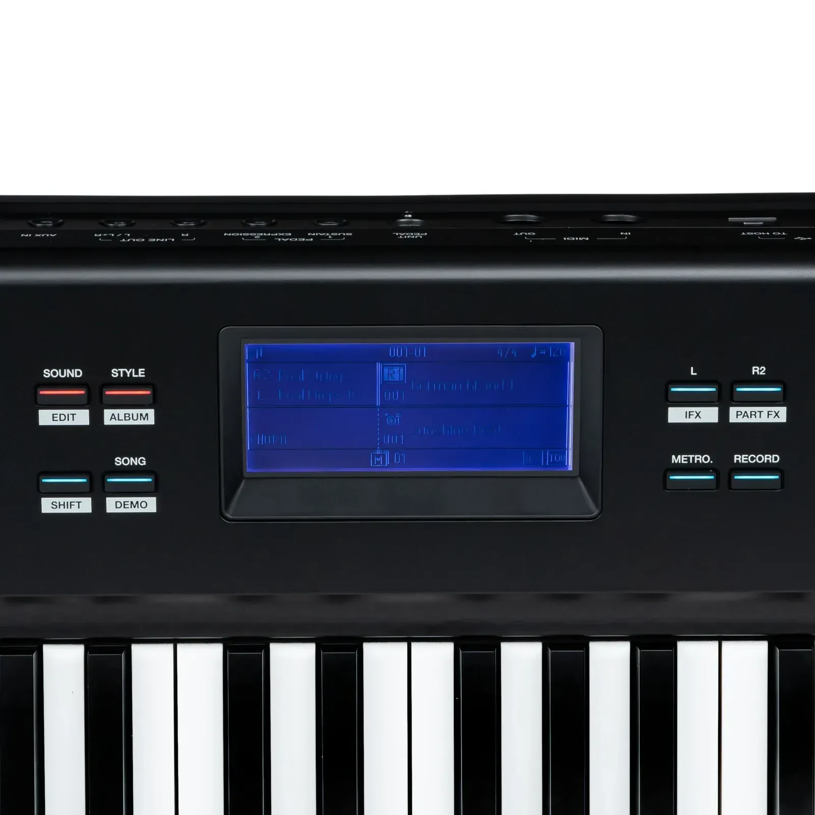 Изображение №5