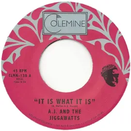 Виниловая пластинка AJ & The Jiggawatts – It Is What It Is (Релиз 2016)