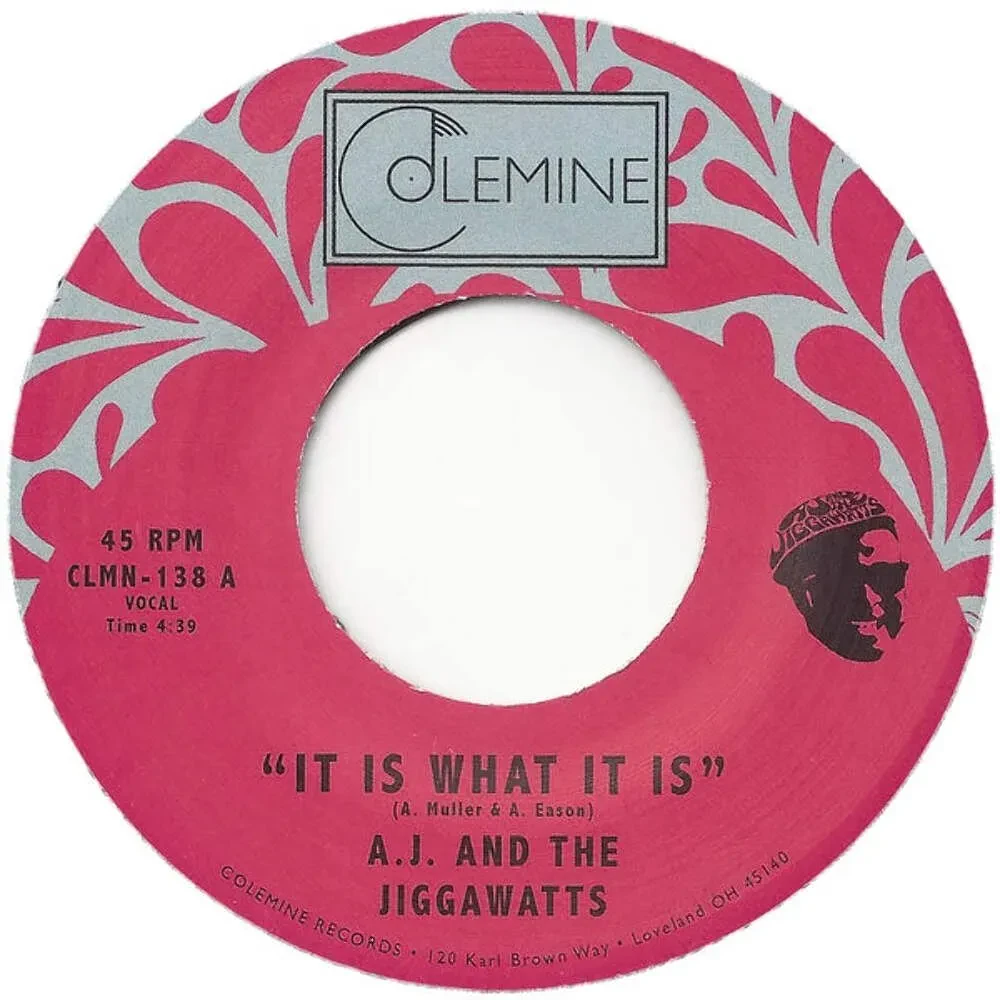 Виниловая пластинка AJ & The Jiggawatts – It Is What It Is (Релиз 2016)