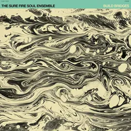 Виниловая пластинка The Sure Fire Soul Ensemble – Build Bridges